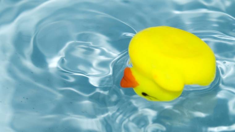 A rubber ducky upside down in a pool