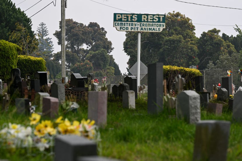 Pet cemetery in Colma, California